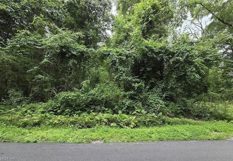 Photo 1 of 1 land for sale in Suffolk virginia