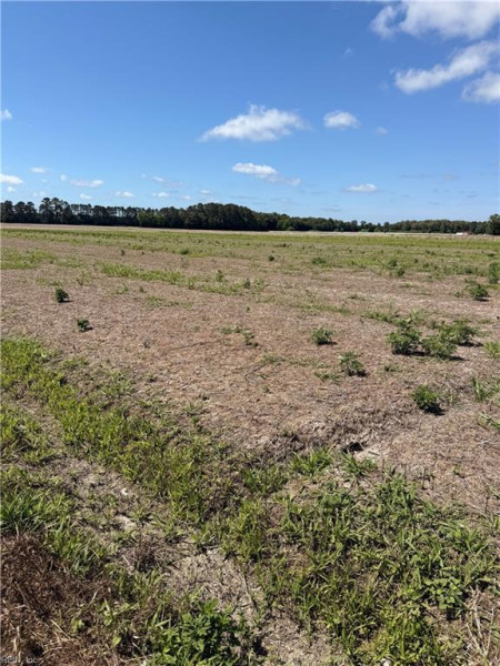 Photo 1 of 3 land for sale in Virginia Beach virginia