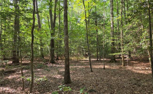 2071 Bush Neck Road, James City County, VA 23188