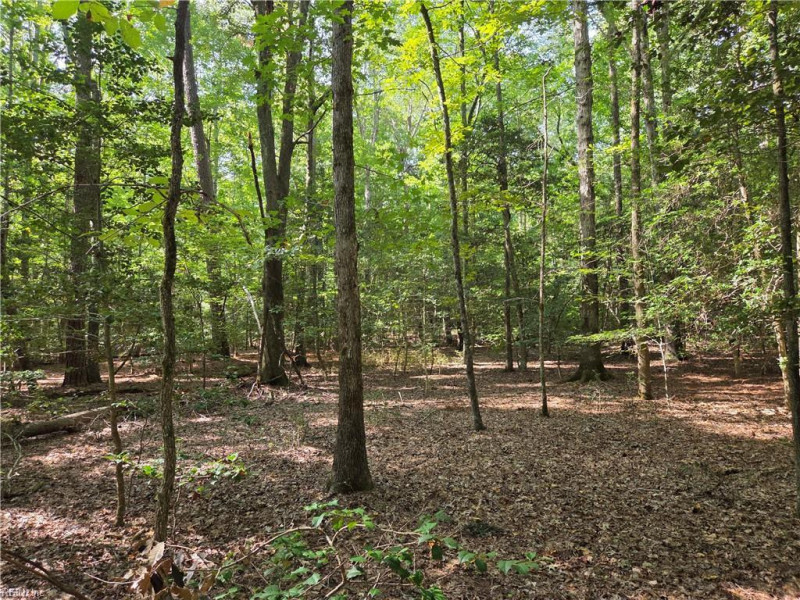Photo 5 of 5 land for sale in James City County virginia