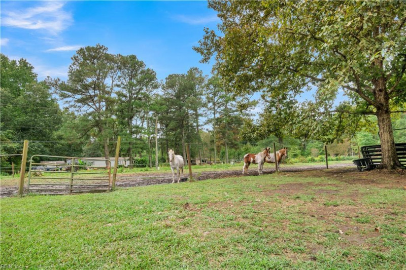 Photo 16 of 20 residential for sale in Suffolk virginia