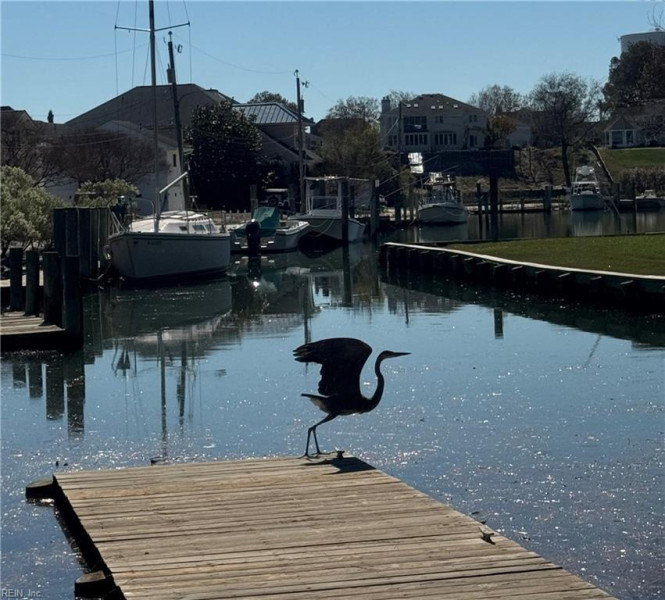 Photo 47 of 50 residential for sale in Virginia Beach virginia
