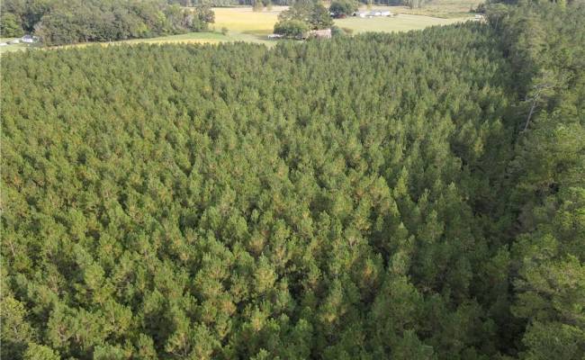 12AC Jenkins Mill Road, Isle of Wight County, VA 23851
