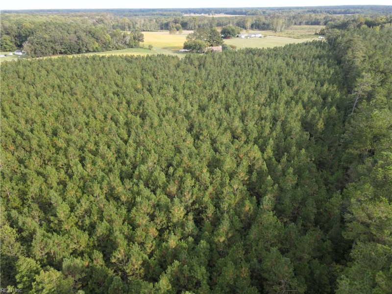 Photo 10 of 20 land for sale in Isle of Wight County virginia