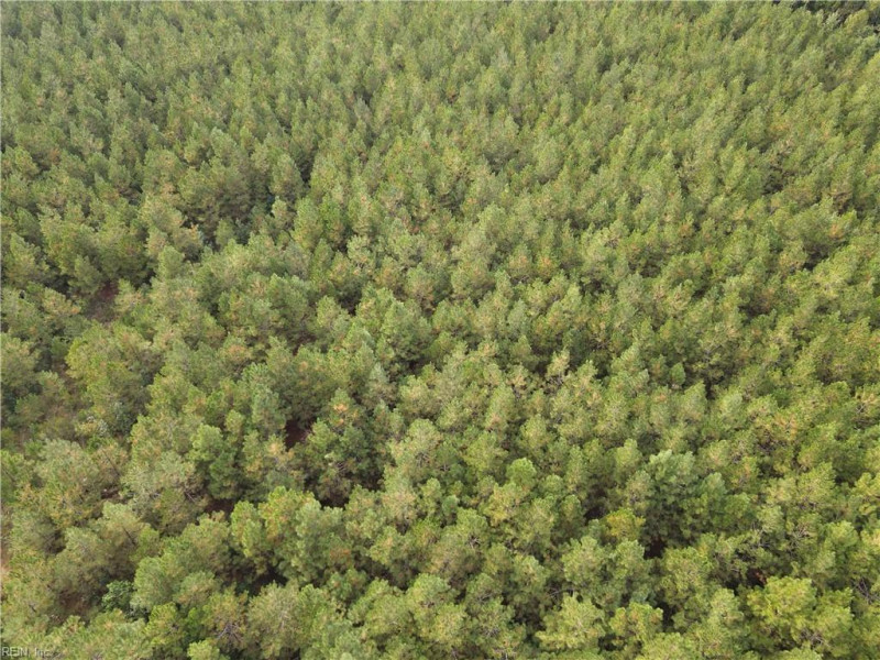 Photo 11 of 20 land for sale in Isle of Wight County virginia