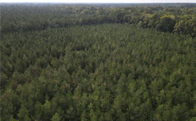 12AC Jenkins Mill Road, Isle of Wight County, VA 23851