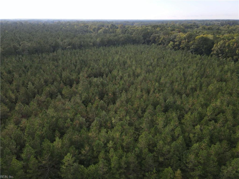 Photo 12 of 20 land for sale in Isle of Wight County virginia