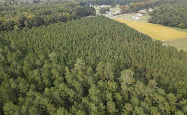 12AC Jenkins Mill Road, Isle of Wight County, VA 23851