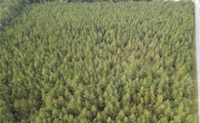12AC Jenkins Mill Road, Isle of Wight County, VA 23851