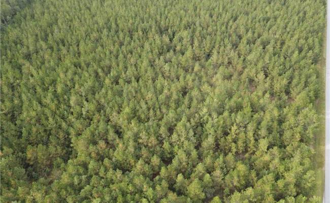 12AC Jenkins Mill Road, Isle of Wight County, VA 23851