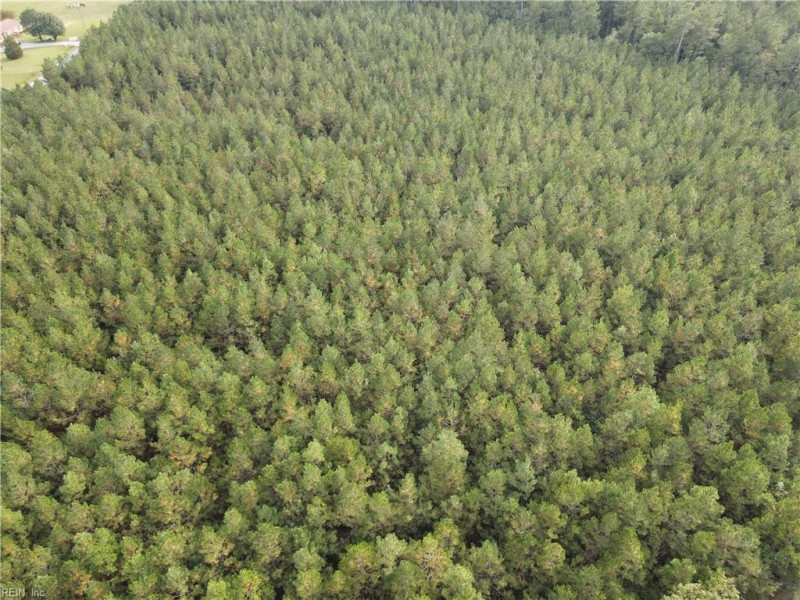Photo 4 of 20 land for sale in Isle of Wight County virginia
