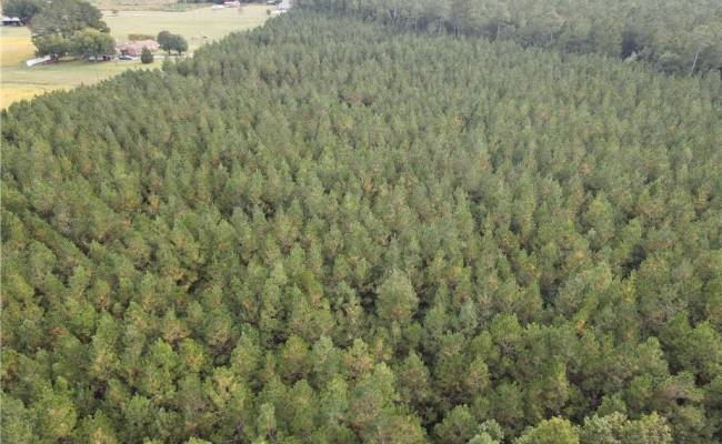12AC Jenkins Mill Road, Isle of Wight County, VA 23851