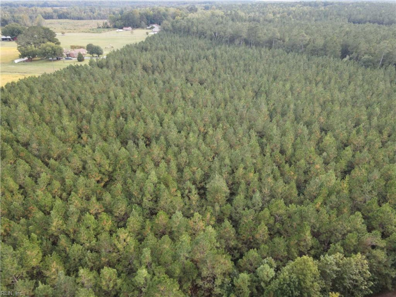 Photo 6 of 20 land for sale in Isle of Wight County virginia