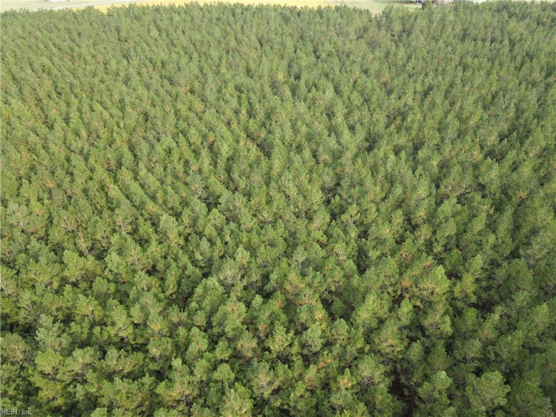 Photo 7 of 20 land for sale in Isle of Wight County virginia