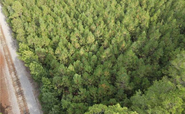 12AC Jenkins Mill Road, Isle of Wight County, VA 23851