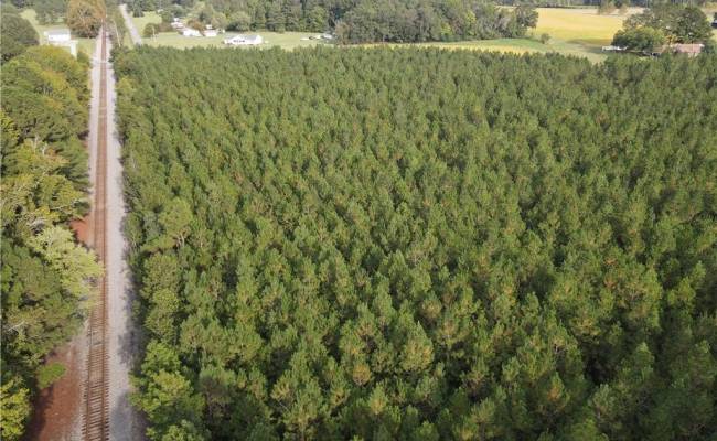 12AC Jenkins Mill Road, Isle of Wight County, VA 23851