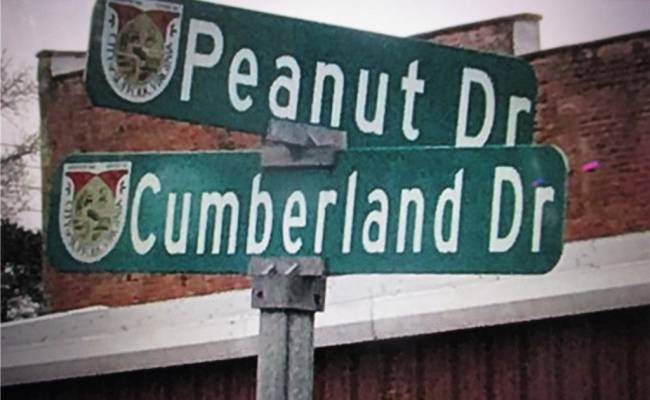 LOT PEANUT Lane, Suffolk, VA 23437