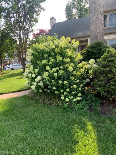 Photo 45 of 50 residential for sale in Chesapeake virginia Photo 45 of 50 residential for sale in Chesapeake virginia