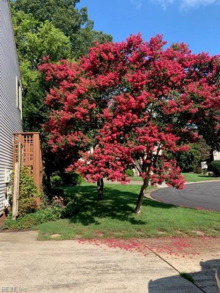 Photo 48 of 50 residential for sale in Chesapeake virginia Photo 48 of 50 residential for sale in Chesapeake virginia