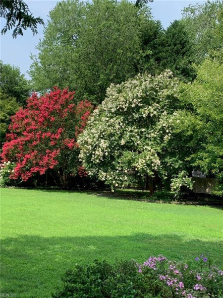 Photo 50 of 50 residential for sale in Chesapeake virginia Photo 50 of 50 residential for sale in Chesapeake virginia