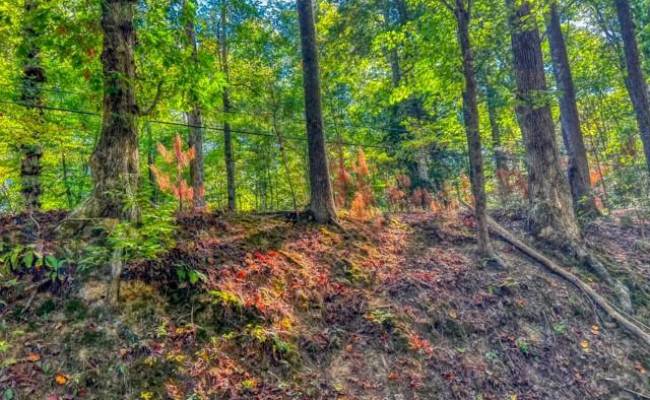 234 Sandy Bay Road, James City County, VA 23185