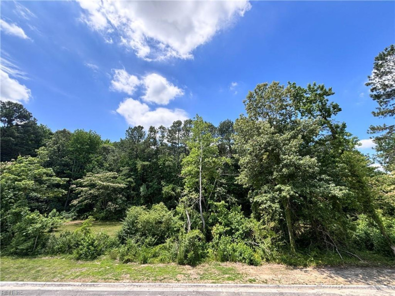 Photo 7 of 24 residential for sale in Chesapeake virginia