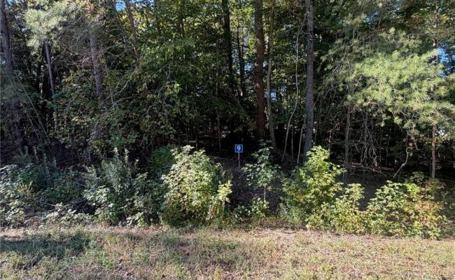5353 Ridgewood Hills Drive, James City County, VA 23188