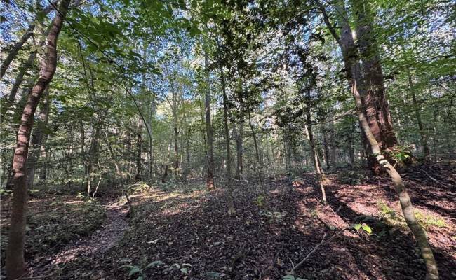 26-17 Catapult Lane, Gloucester County, VA 23061
