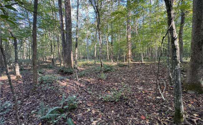 26-17 Catapult Lane, Gloucester County, VA 23061
