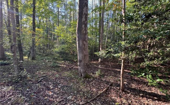 26-17 Catapult Lane, Gloucester County, VA 23061