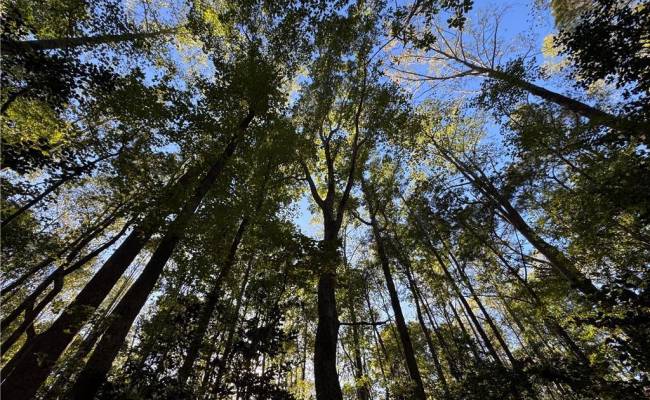 26-17 Catapult Lane, Gloucester County, VA 23061