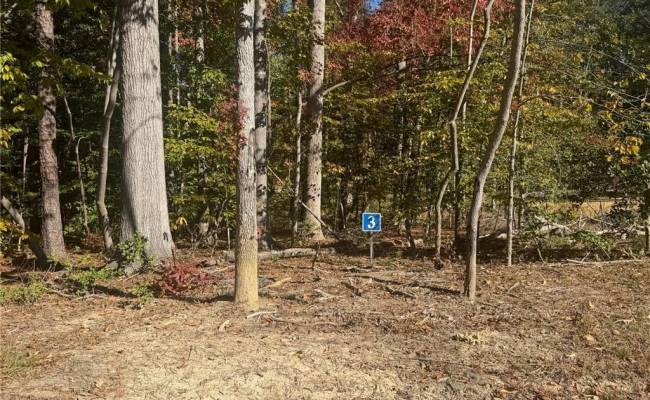 5329 Ridgewood Hills Drive, James City County, VA 23188