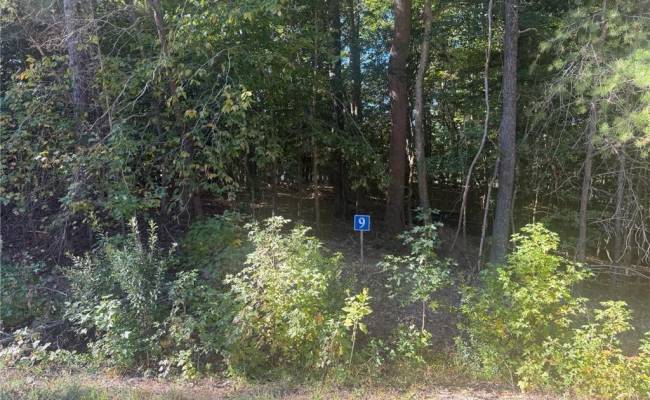 5341 Ridgewood Hills Drive, James City County, VA 23188